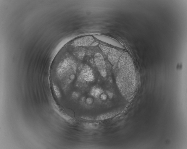X0000111860147200909031759