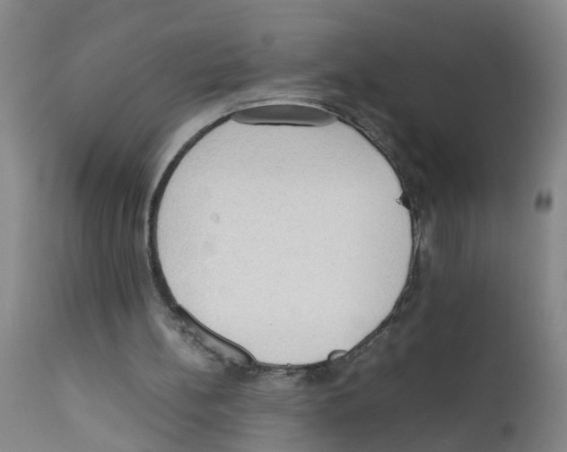 X0000111860148200909031759