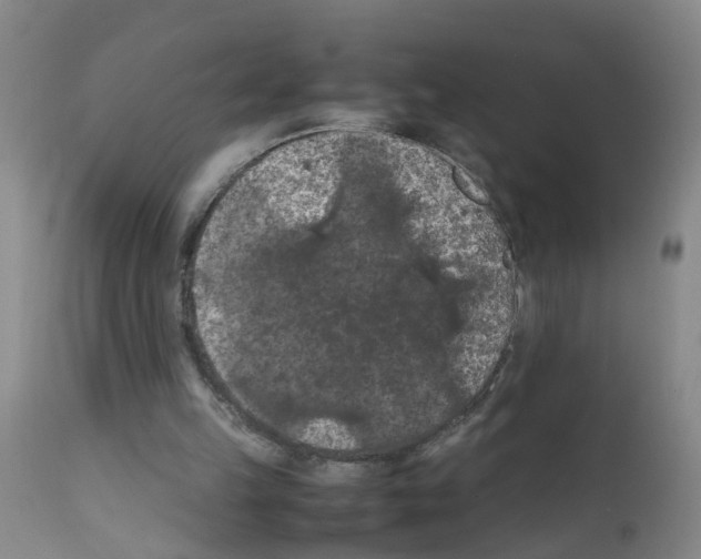 X0000111860149200909031759