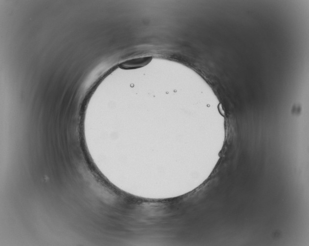 X0000111860150200909031759