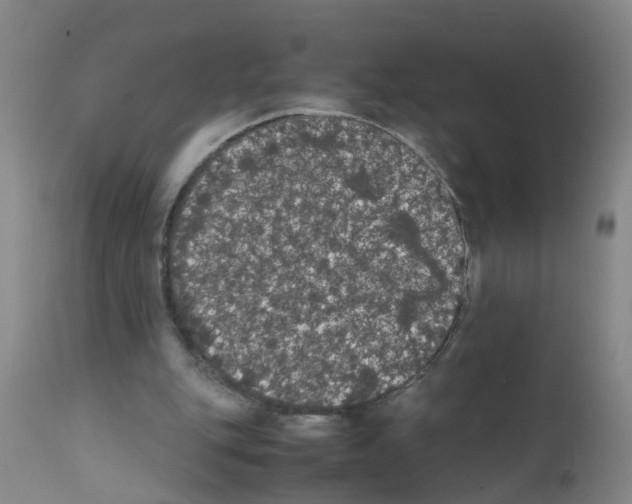 X0000111860151200909031759