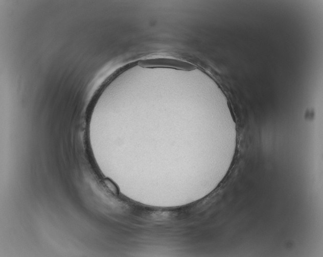 X0000111860152200909031759