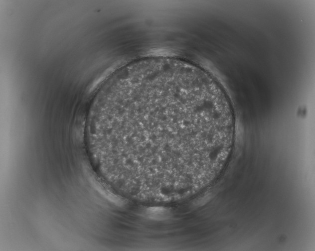 X0000111860153200909031759