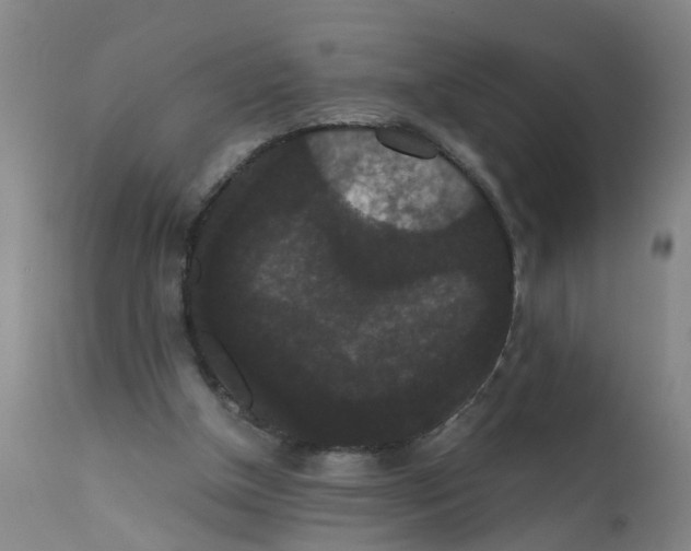 X0000111860154200909031759