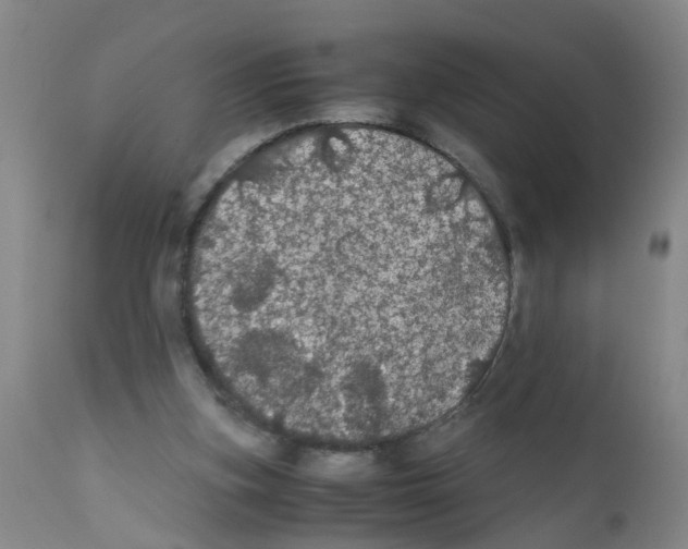 X0000111860155200909031759