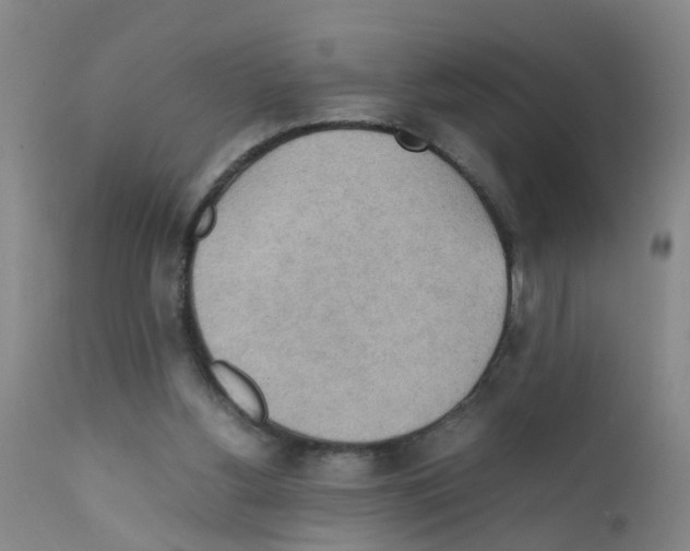 X0000111860156200909031759
