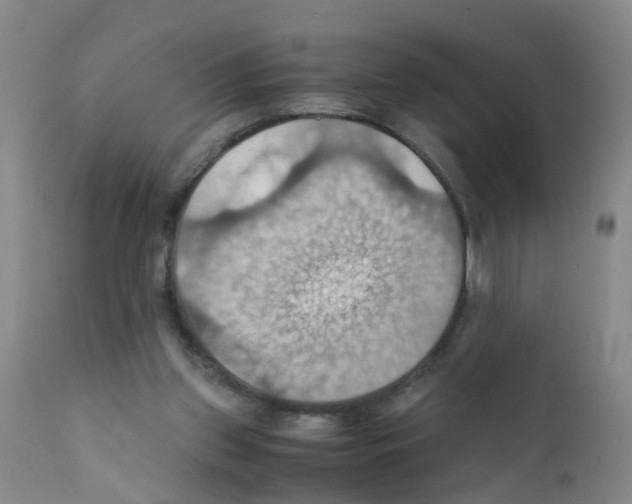 X0000111860157200909031759