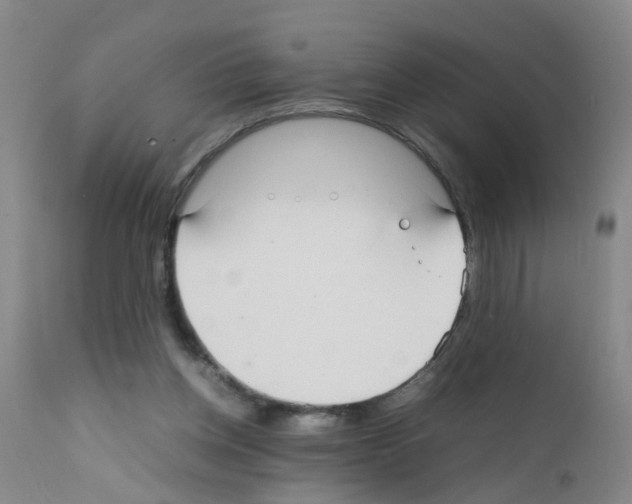 X0000111860158200909031759