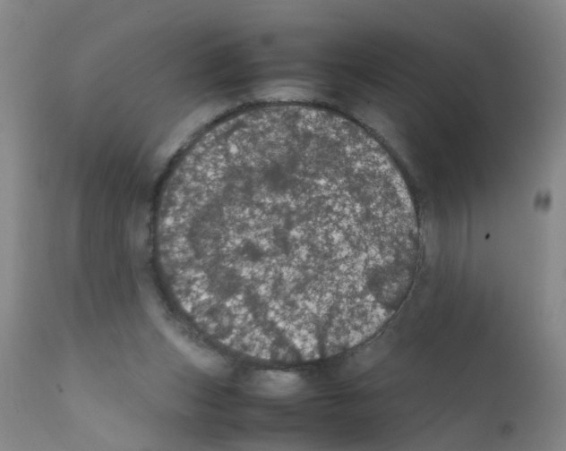 X0000111860159200909031759