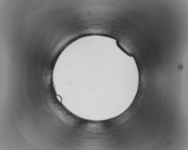 X0000111860160200909031759