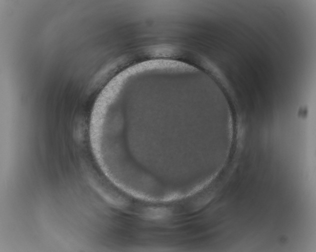 X0000111860161200909031759