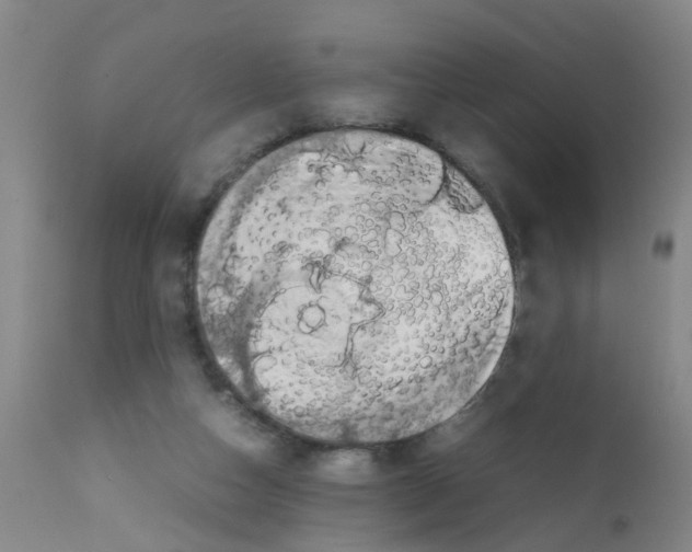 X0000111860162200909031759