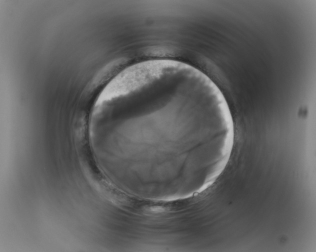 X0000111860163200909031759