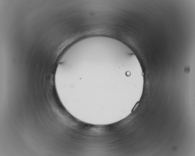 X0000111860164200909031759