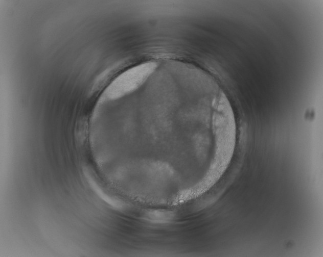 X0000111860165200909031759