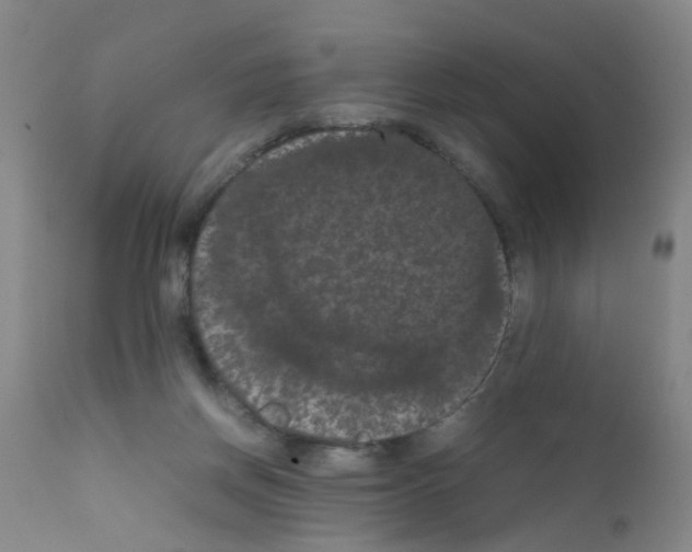 X0000111860166200909031759