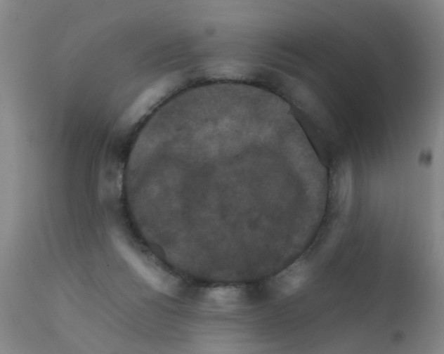 X0000111860168200909031759