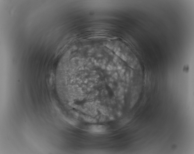 X0000111860169200909031759