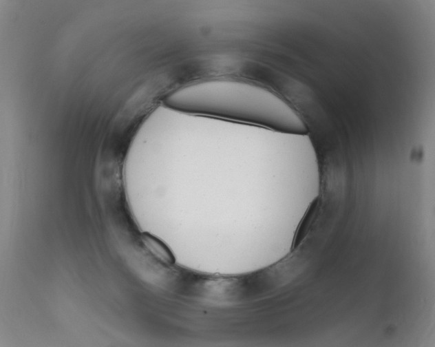 X0000111860172200909031800