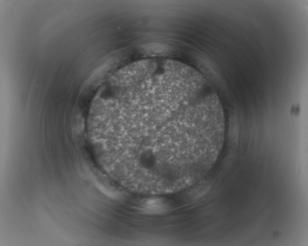 X0000111860173200909031800