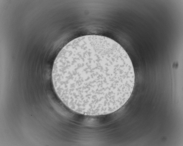X0000111860174200909031800