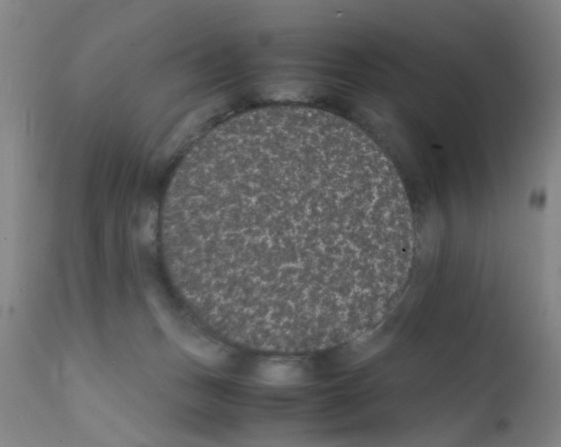 X0000111860175200909031800
