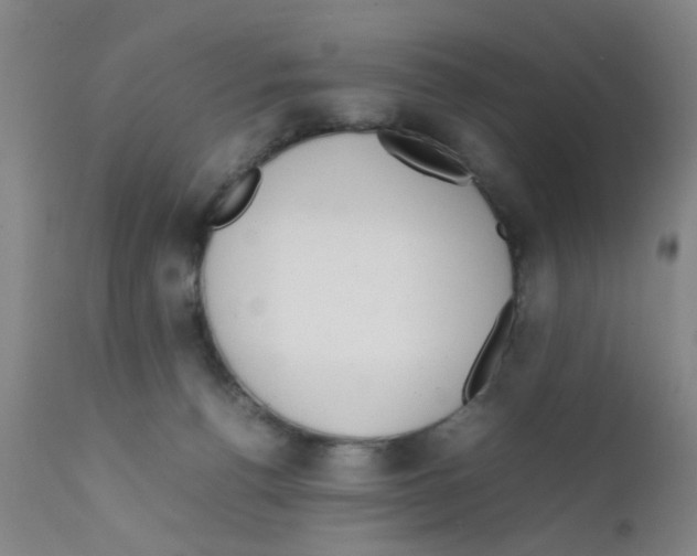 X0000111860176200909031800