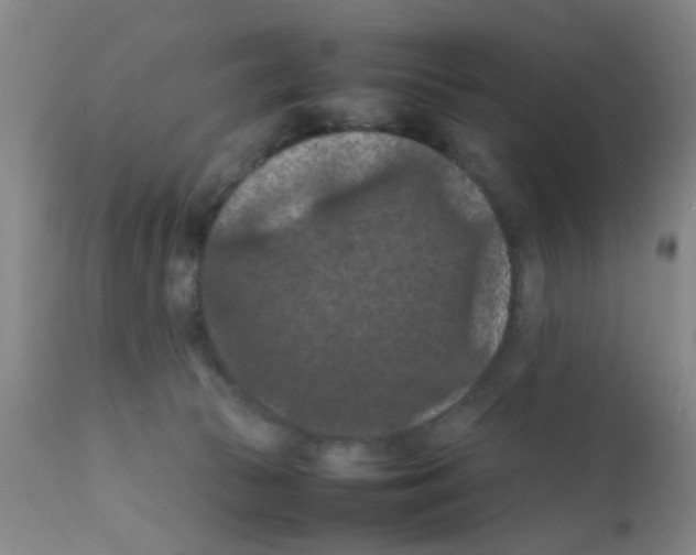 X0000111860177200909031800