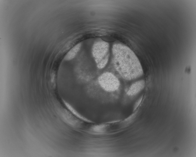 X0000111860178200909031800