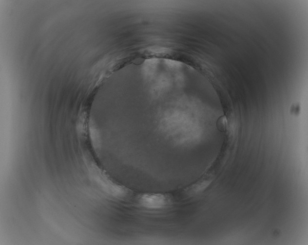 X0000111860181200909031800