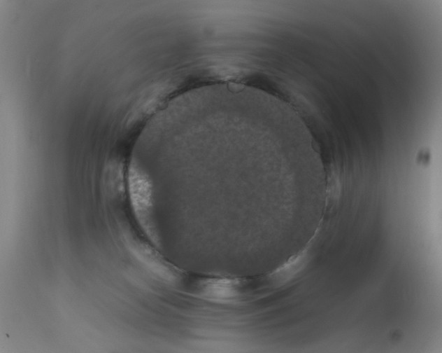 X0000111860182200909031800