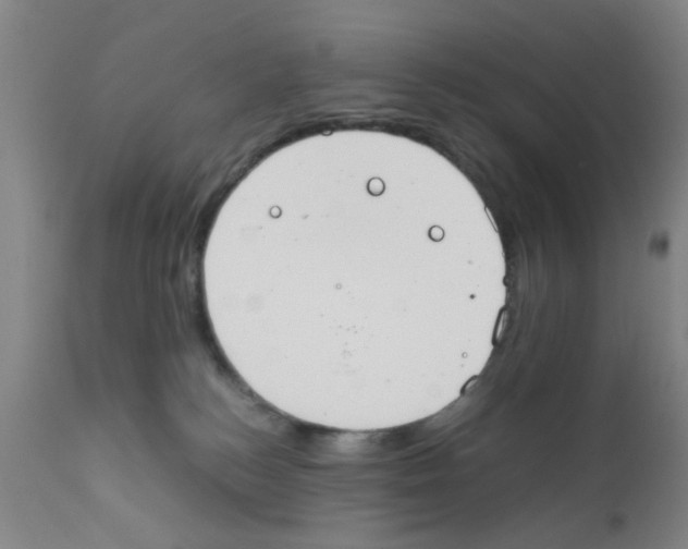 X0000111860184200909031800