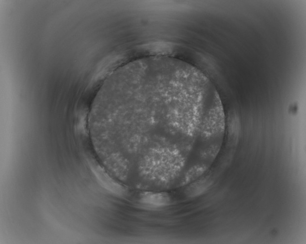 X0000111860185200909031800