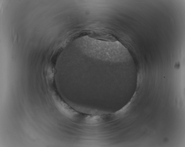 X0000111860186200909031800