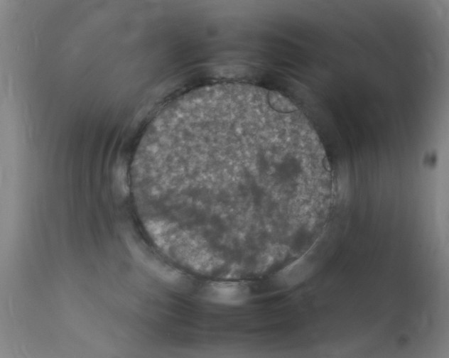 X0000111860187200909031800