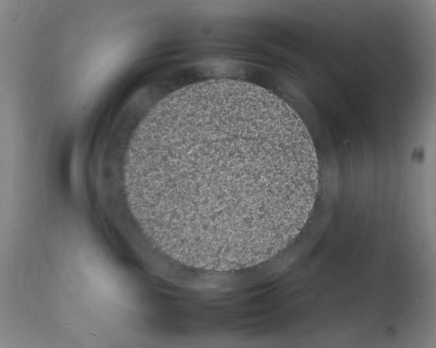 X0000111860189200909031800