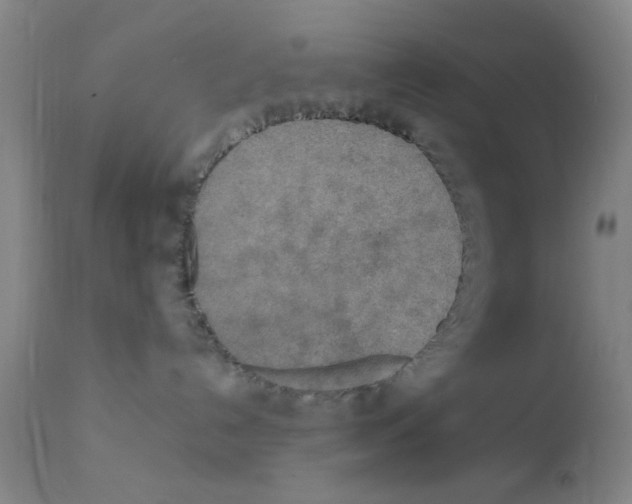 X0000111860192200909031800