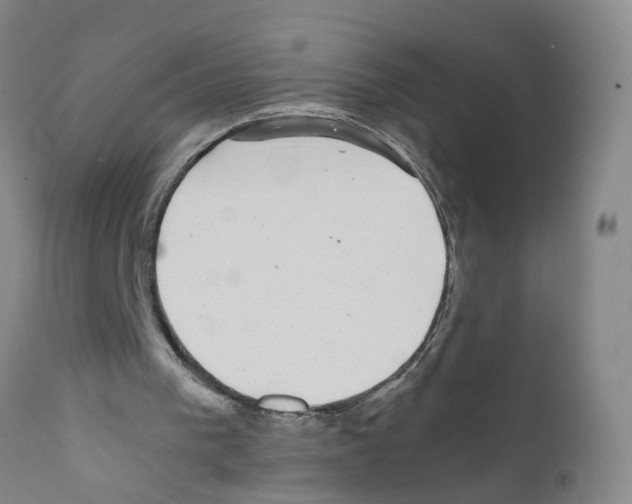 X0000111860193200909031759