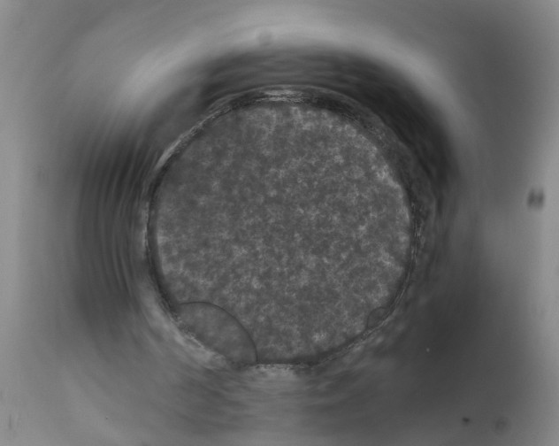 X0000111860194200909031759
