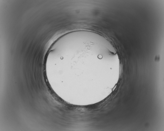 X0000111860195200909031759