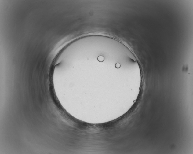 X0000111860199200909031759