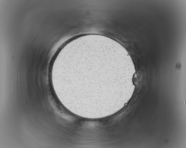 X0000111860200200909031759