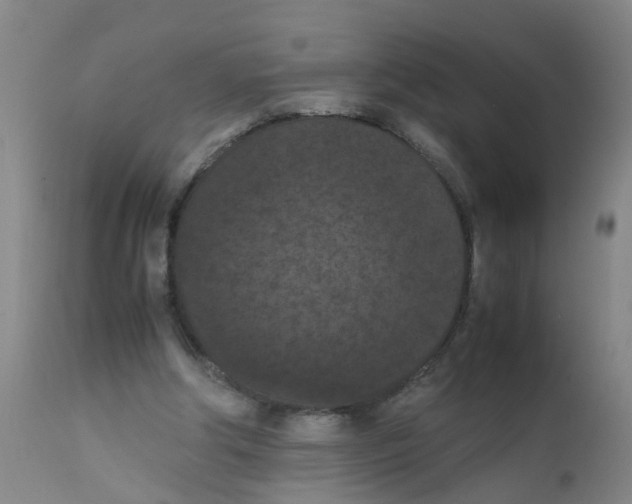 X0000111860202200909031759