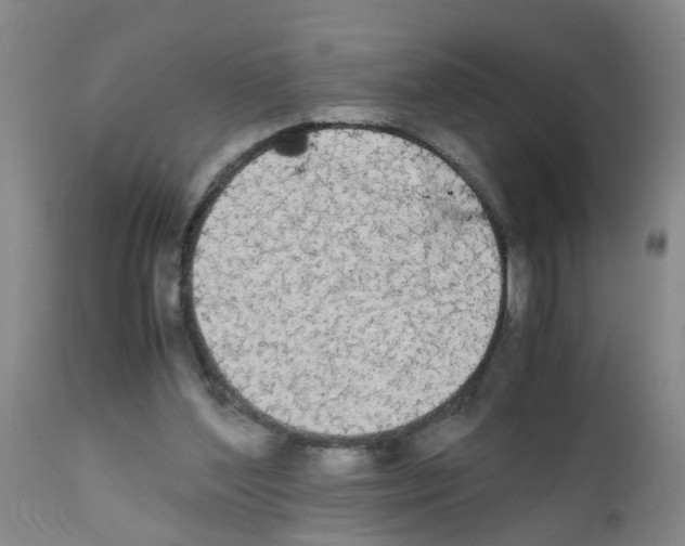X0000111860204200909031759