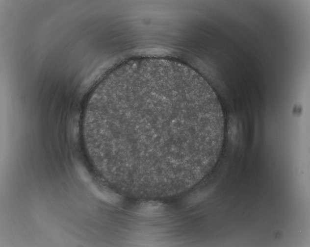 X0000111860206200909031759