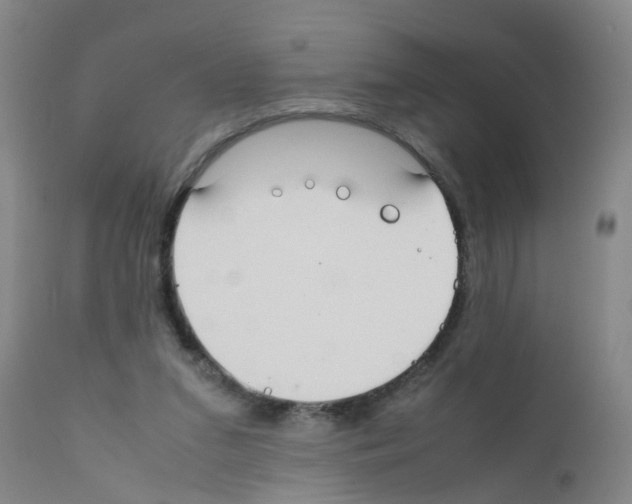 X0000111860207200909031759