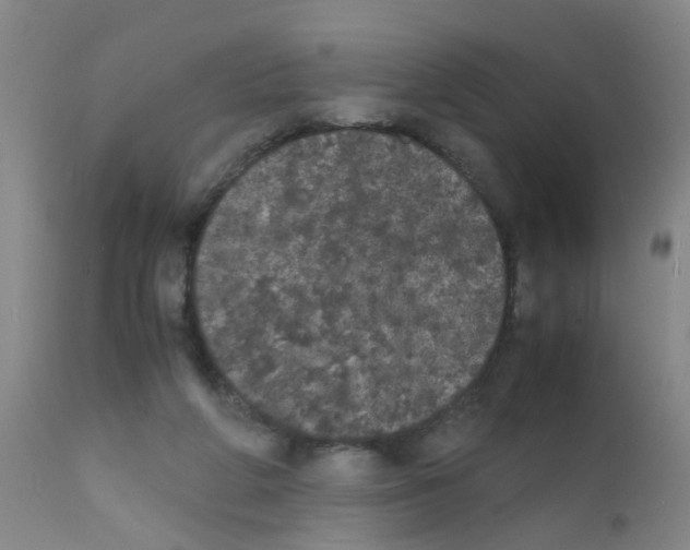 X0000111860210200909031759