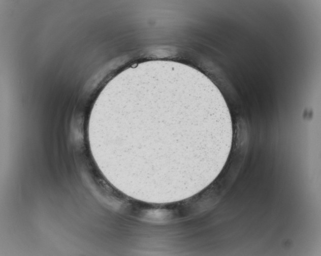 X0000111860212200909031759