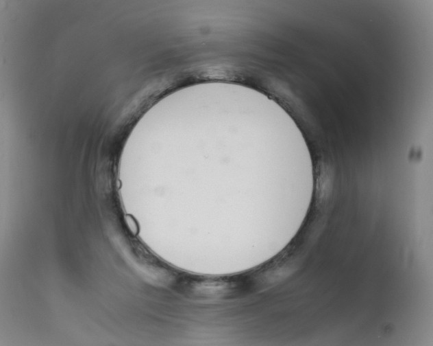 X0000111860213200909031759