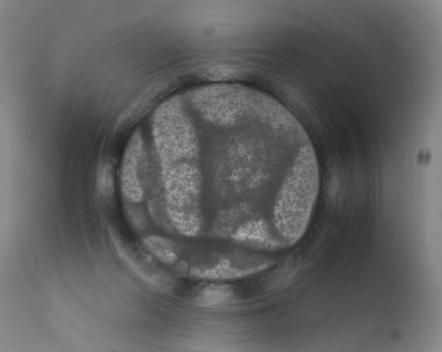 X0000111860214200909031759